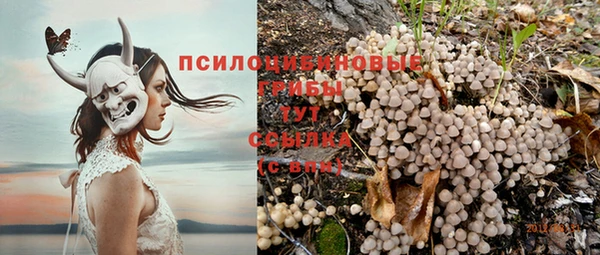 твердый Лабытнанги