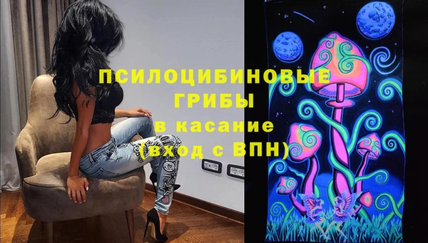 соль ск Липки