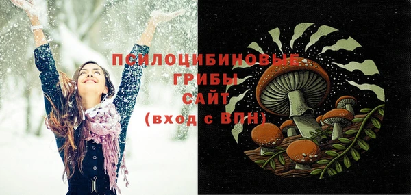 твердый Лабытнанги