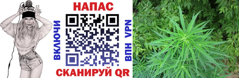 Шишки марихуана гибрид  хочу наркоту  Лихославль 